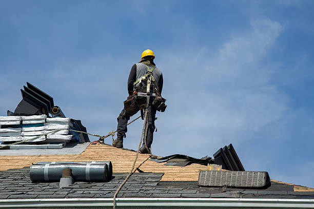 Professional Roofing technician working in Lewis, IA